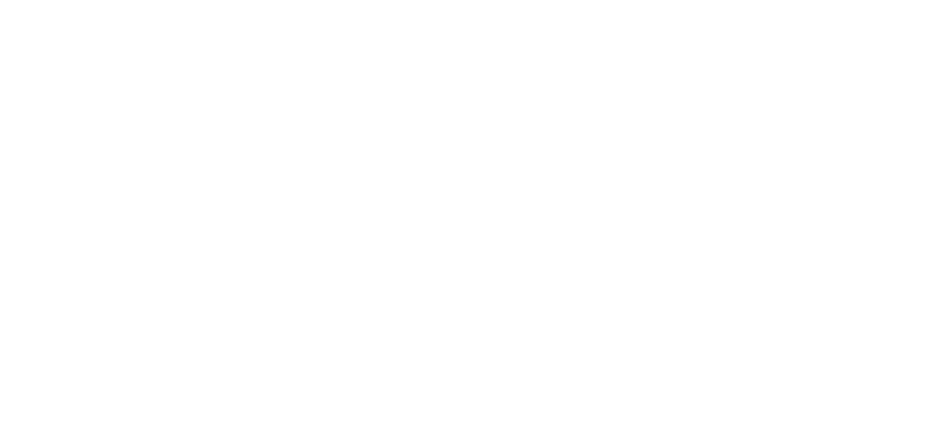 FOTOGRAFIX LOGO